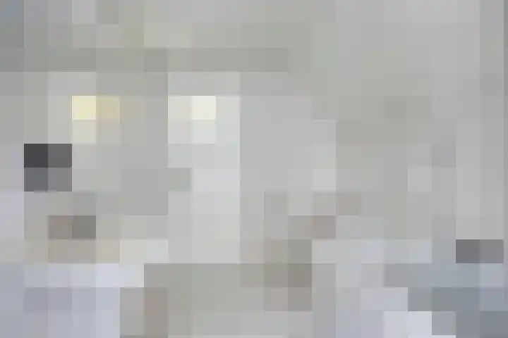Harrie van de Venstraat 17 Nistelrode thumbnail 23