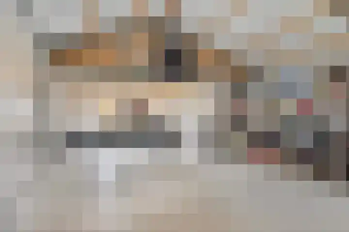 Harrie van de Venstraat 17 Nistelrode thumbnail 25