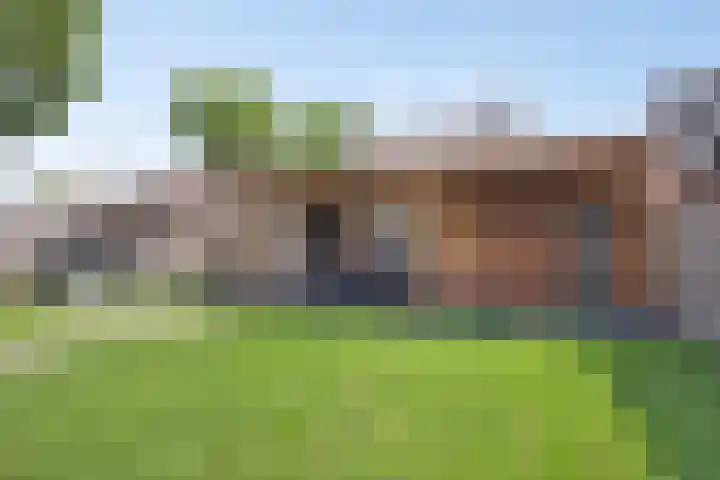 Harrie van de Venstraat 17 Nistelrode thumbnail 33