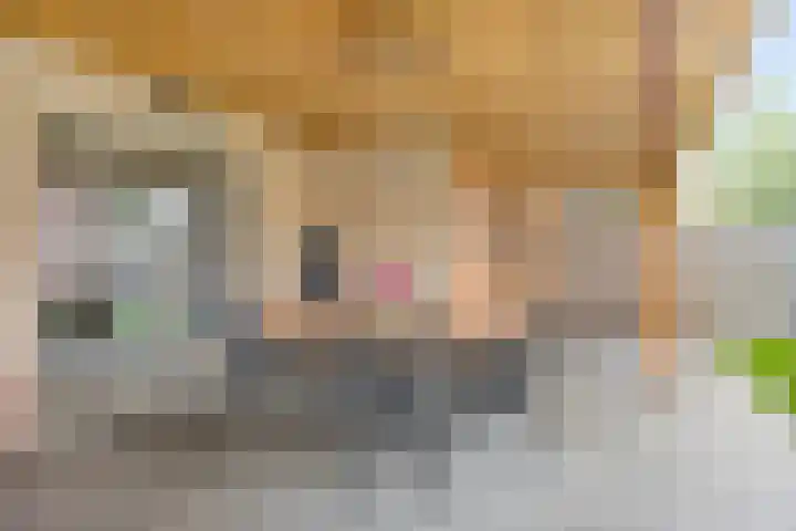 Harrie van de Venstraat 17 Nistelrode thumbnail 34
