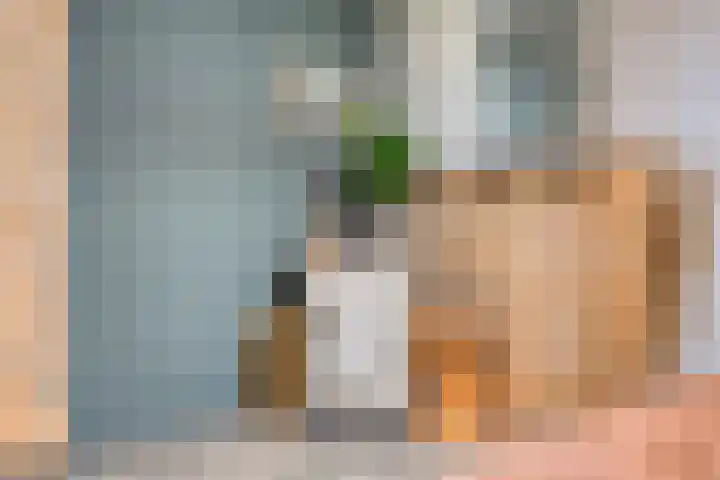 Harrie van de Venstraat 17 Nistelrode thumbnail 8