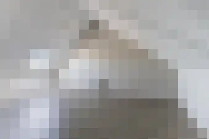 Harrie van Gestelstraat 13 Geldrop thumbnail 28