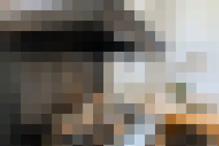 Harrie van Vlerkenstraat 13 Geldrop thumbnail 12