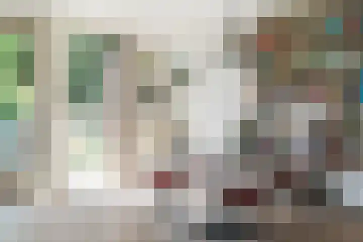 Harrie van Vlerkenstraat 13 Geldrop thumbnail 16