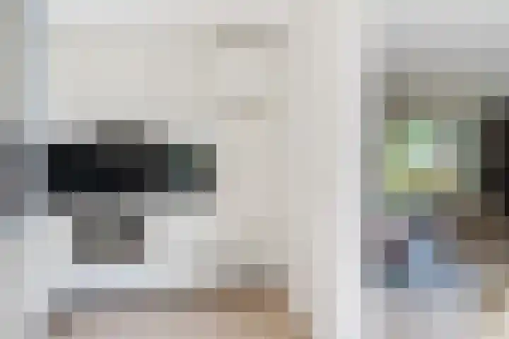 Harrie van Vlerkenstraat 13 Geldrop thumbnail 18