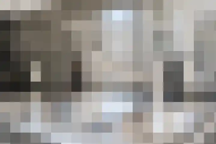 Harrie van Vlerkenstraat 13 Geldrop thumbnail 19