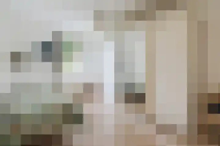 Harrie van Vlerkenstraat 13 Geldrop thumbnail 22