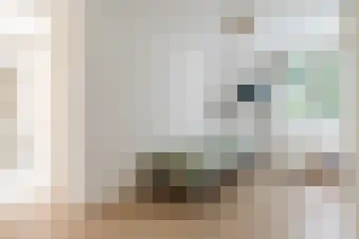 Harrie van Vlerkenstraat 13 Geldrop thumbnail 23