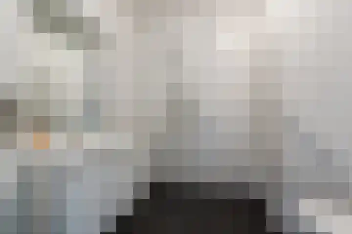 Harrie van Vlerkenstraat 13 Geldrop thumbnail 26