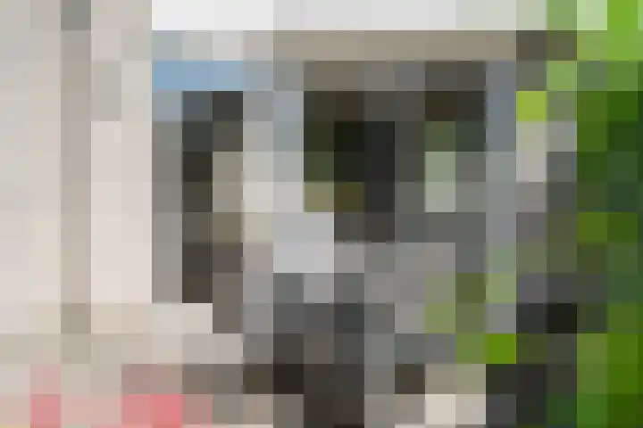Harrie van Vlerkenstraat 13 Geldrop thumbnail 32