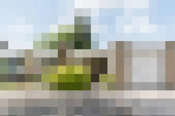 Harrie van Vlerkenstraat 13 Geldrop thumbnail 35
