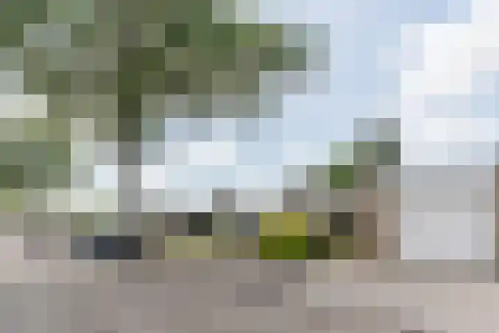 Harrie van Vlerkenstraat 13 Geldrop thumbnail 6
