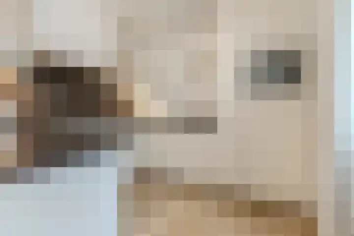 Harrie van Vlerkenstraat 27 Geldrop thumbnail 12