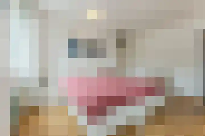 Harrie van Vlerkenstraat 27 Geldrop thumbnail 19