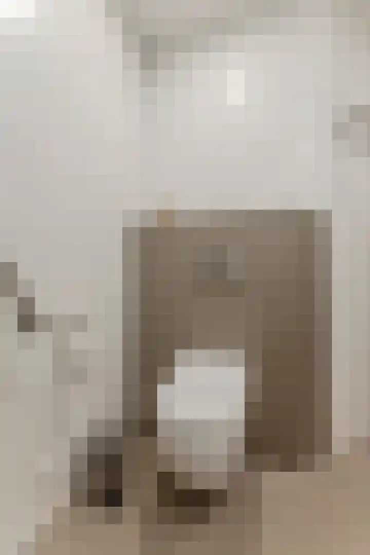 Harrie van Vlerkenstraat 27 Geldrop thumbnail 26