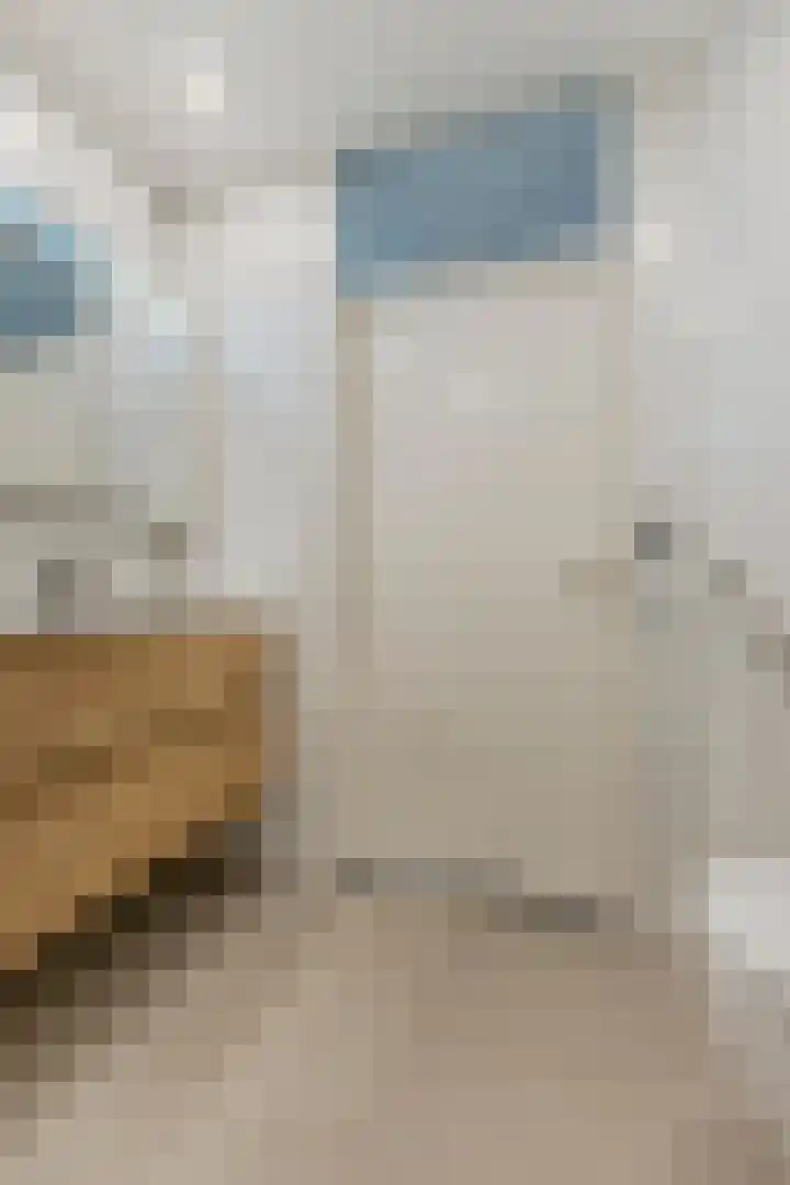 Harrie van Vlerkenstraat 27 Geldrop thumbnail 27