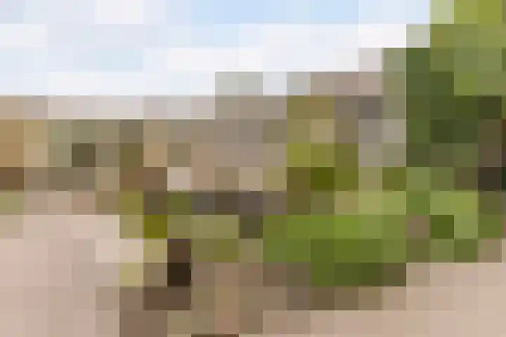 Harrie van Vlerkenstraat 27 Geldrop thumbnail 28