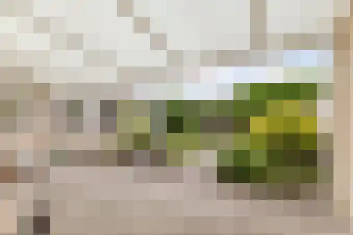 Harrie van Vlerkenstraat 27 Geldrop thumbnail 30
