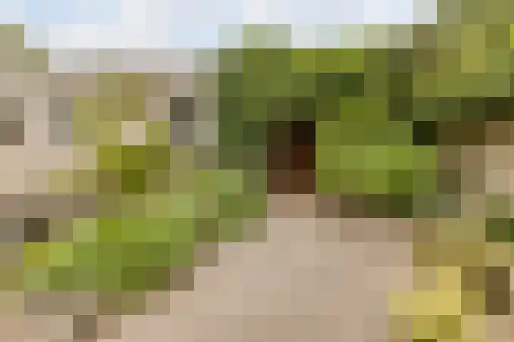 Harrie van Vlerkenstraat 27 Geldrop thumbnail 31
