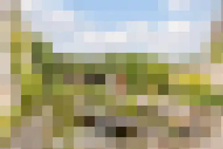 Harrie van Vlerkenstraat 27 Geldrop thumbnail 32
