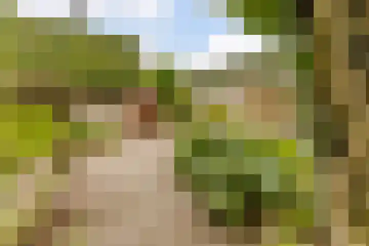 Harrie van Vlerkenstraat 27 Geldrop thumbnail 33