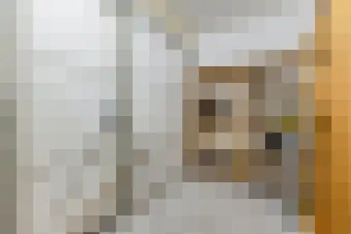 Harrie van Vlerkenstraat 27 Geldrop thumbnail 34