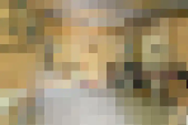 Harrie van Vlerkenstraat 27 Geldrop thumbnail 37