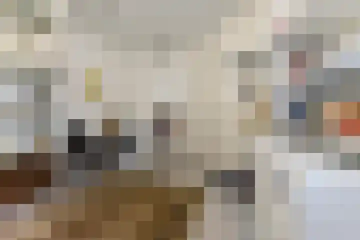 Harrie van Vlerkenstraat 27 Geldrop thumbnail 38