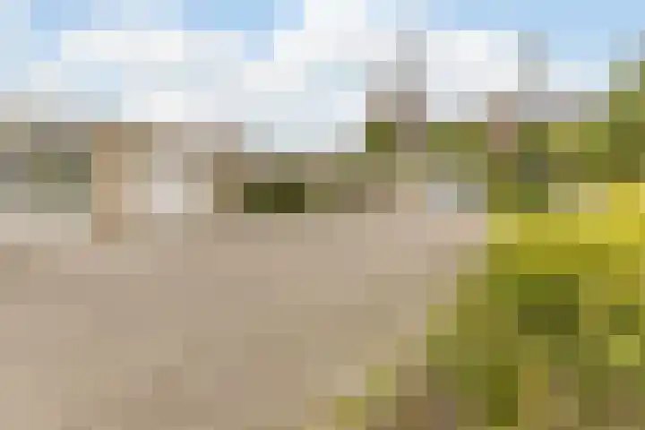 Harrie van Vlerkenstraat 27 Geldrop thumbnail 43