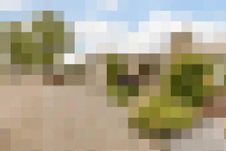 Harrie van Vlerkenstraat 27 Geldrop thumbnail 44