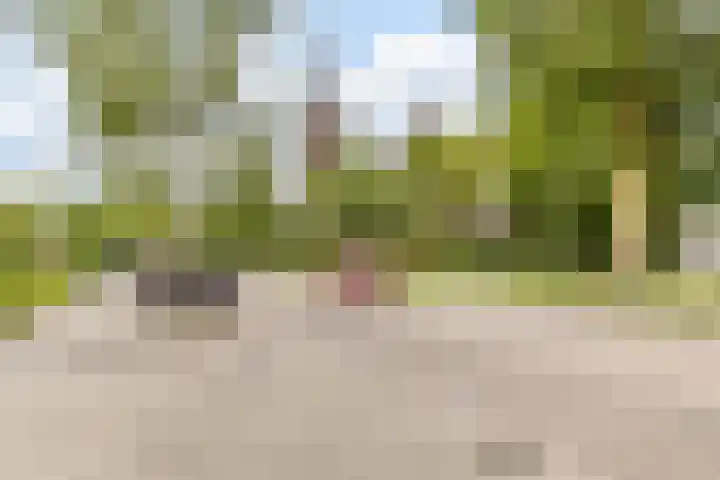 Harrie van Vlerkenstraat 27 Geldrop thumbnail 45