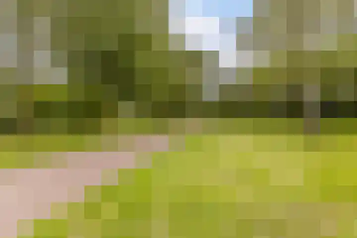 Harrie van Vlerkenstraat 27 Geldrop thumbnail 46