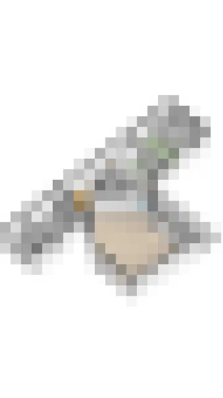 Harrie van Vlerkenstraat 27 Geldrop thumbnail 49