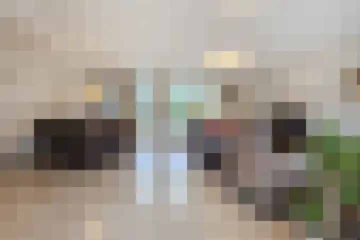 Harrie van Vlerkenstraat 27 Geldrop thumbnail 7