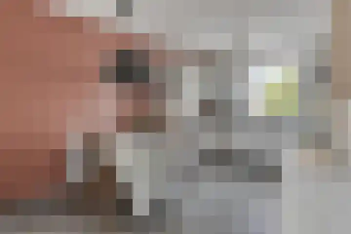 Harrie Weijershof 9 Leende thumbnail 8