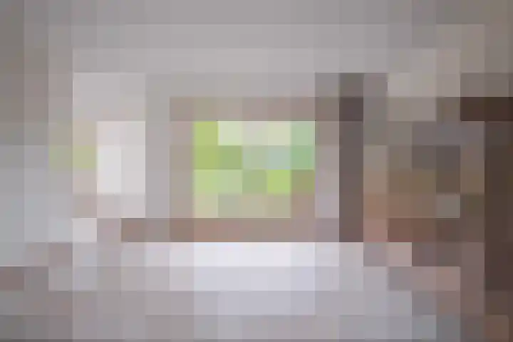 Harriët Freezerlaan 1 Elst thumbnail 12