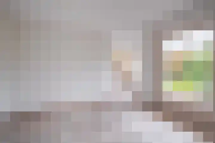 Harriët Freezerlaan 1 Elst thumbnail 14