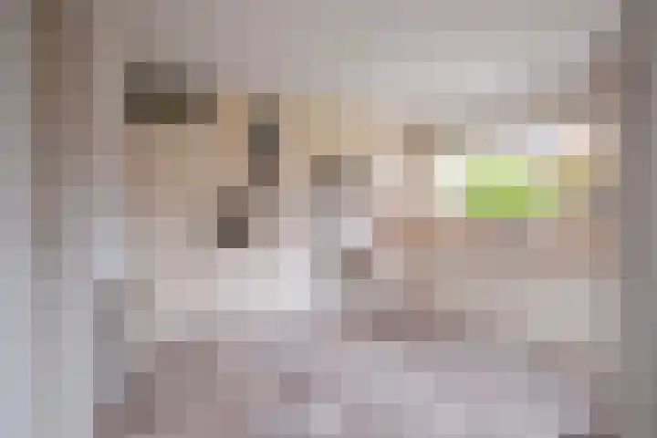 Harriët Freezerlaan 1 Elst thumbnail 16