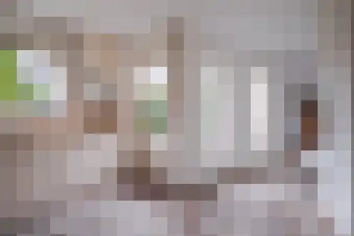 Harriët Freezerlaan 1 Elst thumbnail 17