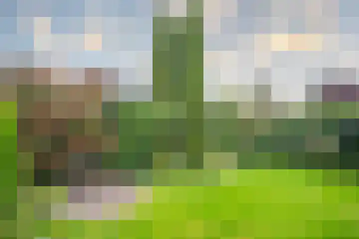 Harriët Freezerlaan 1 Elst thumbnail 18