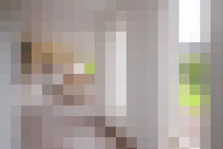 Harriët Freezerlaan 1 Elst foto 2