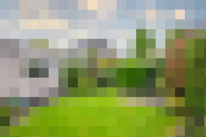 Harriët Freezerlaan 1 Elst thumbnail 20