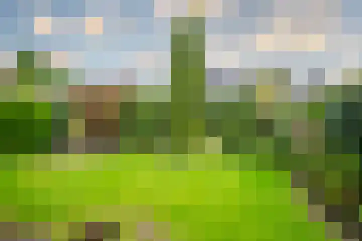 Harriët Freezerlaan 1 Elst thumbnail 21