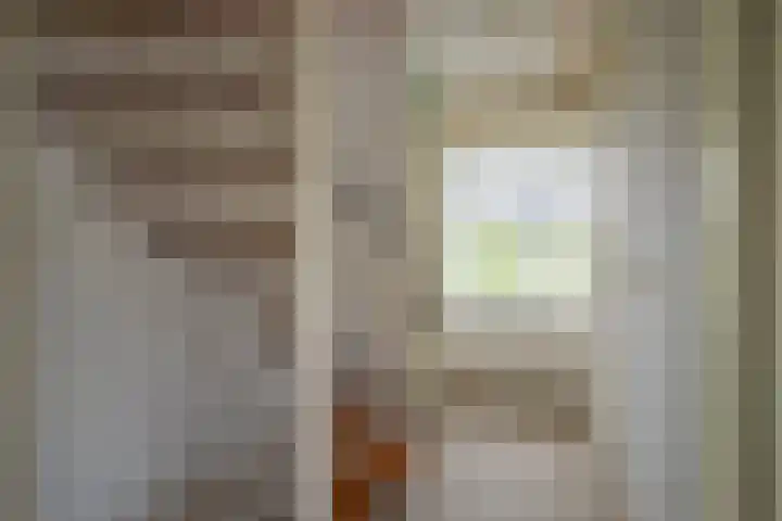 Harriët Freezerlaan 1 Elst thumbnail 22