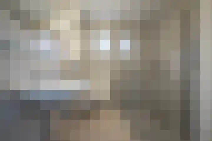 Harriët Freezerlaan 1 Elst thumbnail 24