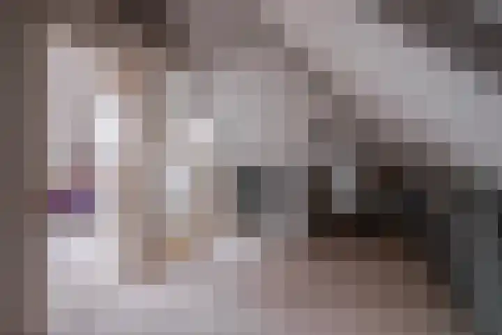 Harriët Freezerlaan 1 Elst thumbnail 31