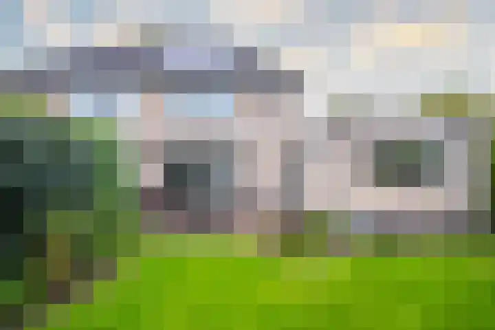 Harriët Freezerlaan 1 Elst thumbnail 4