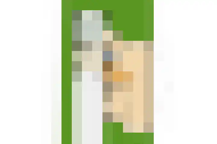 Harriët Freezerlaan 1 Elst thumbnail 42