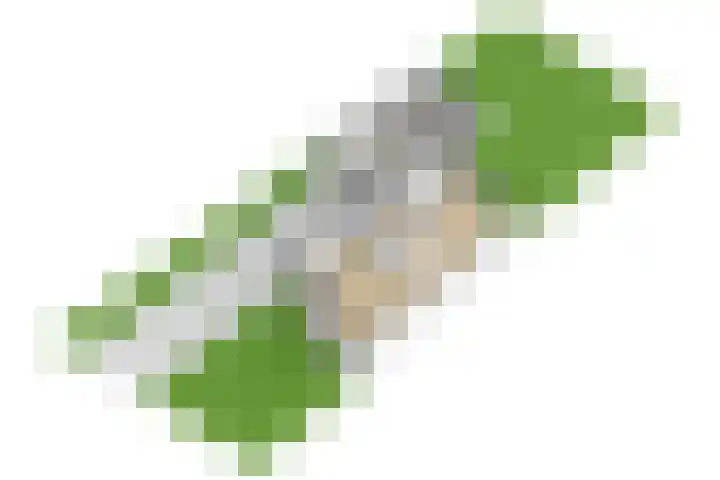 Harriët Freezerlaan 1 Elst thumbnail 43