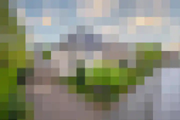 Harriët Freezerlaan 1 Elst thumbnail 5